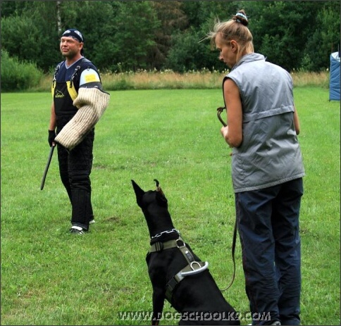 Summer training camp in Estonia 2007